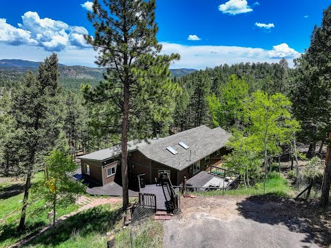 539 Random Road, Bailey, CO home video tour