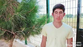 Erhan Çirik Derli Bela. Gel Benim Ol 2019