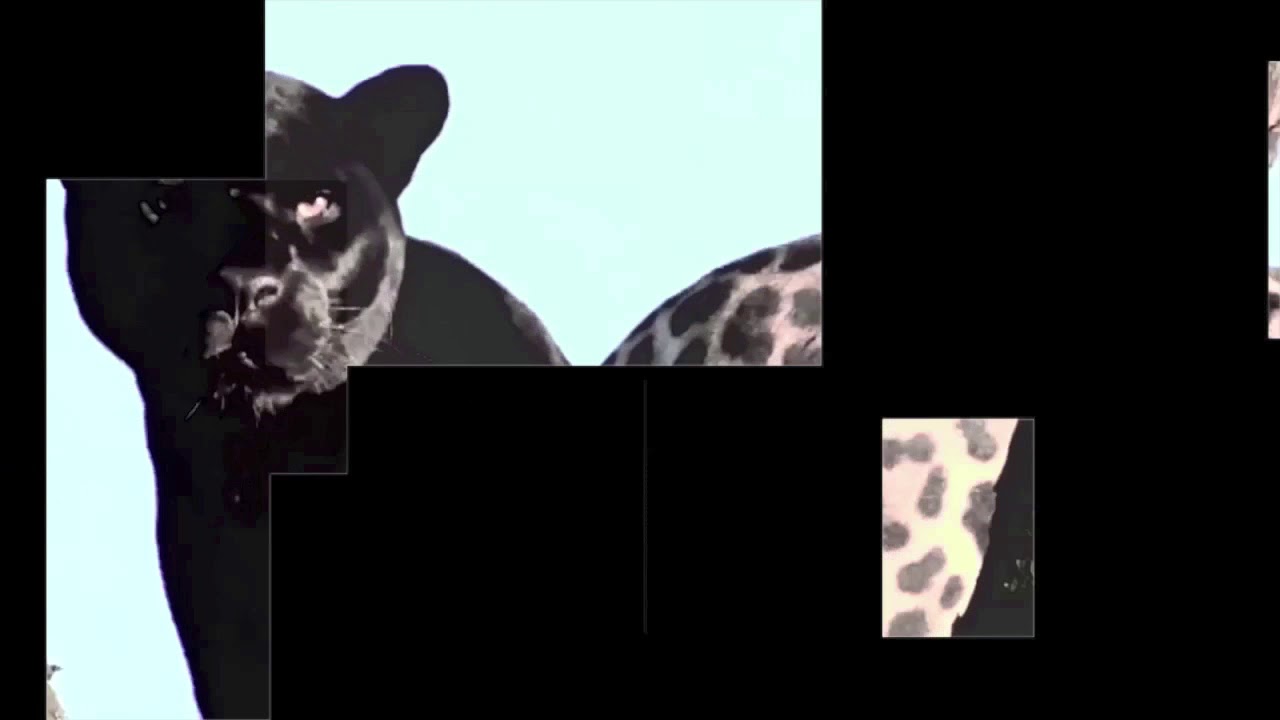 Ver BECK AND RIUS - Atacama (Tour De Traum XIV) no YouTube Ver BECK AND RIUS - Atacama (Tour De Traum XIV) no YouTube