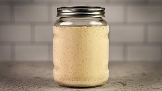 How To Make Sourdough Starter - Dished #Shorts