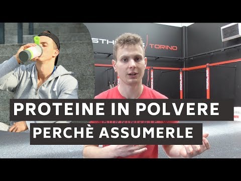 Proteine in polvere