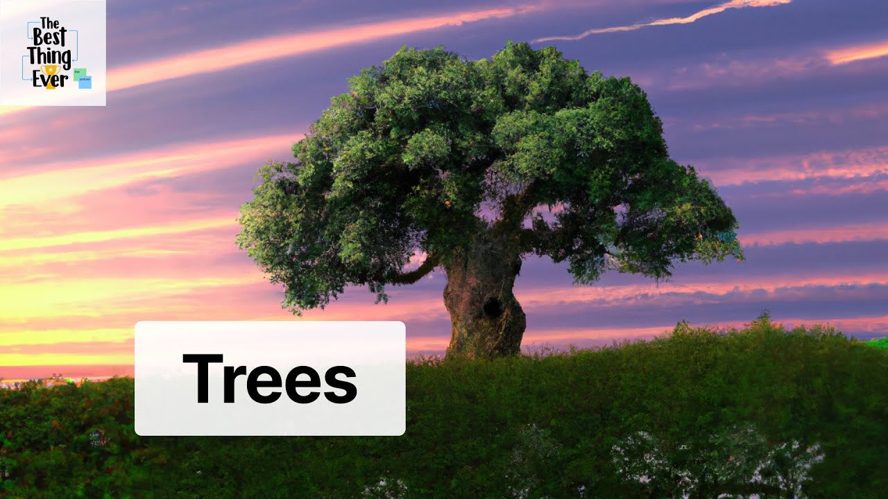 TREES are the best thing ever feat Bri Pruett | BTE 1.07 - YouTube