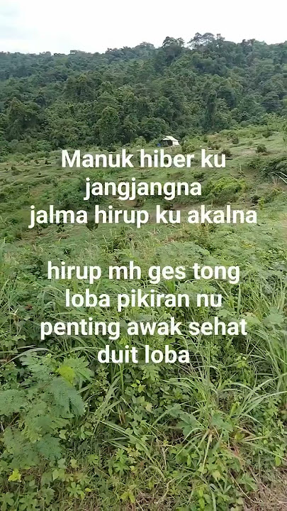 Manuk hiber ku jangjangna jalma hirup ku akalna #bahasasunda #fypシ゚