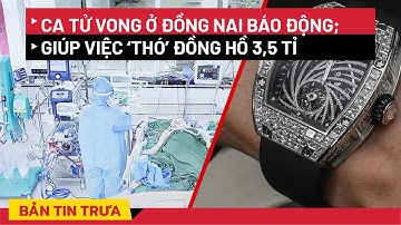 Đồng Nai báo động ca tử vong cao; Giúp việc trộm đồng hồ 3,5 tỉ của chủ nhà - PLO