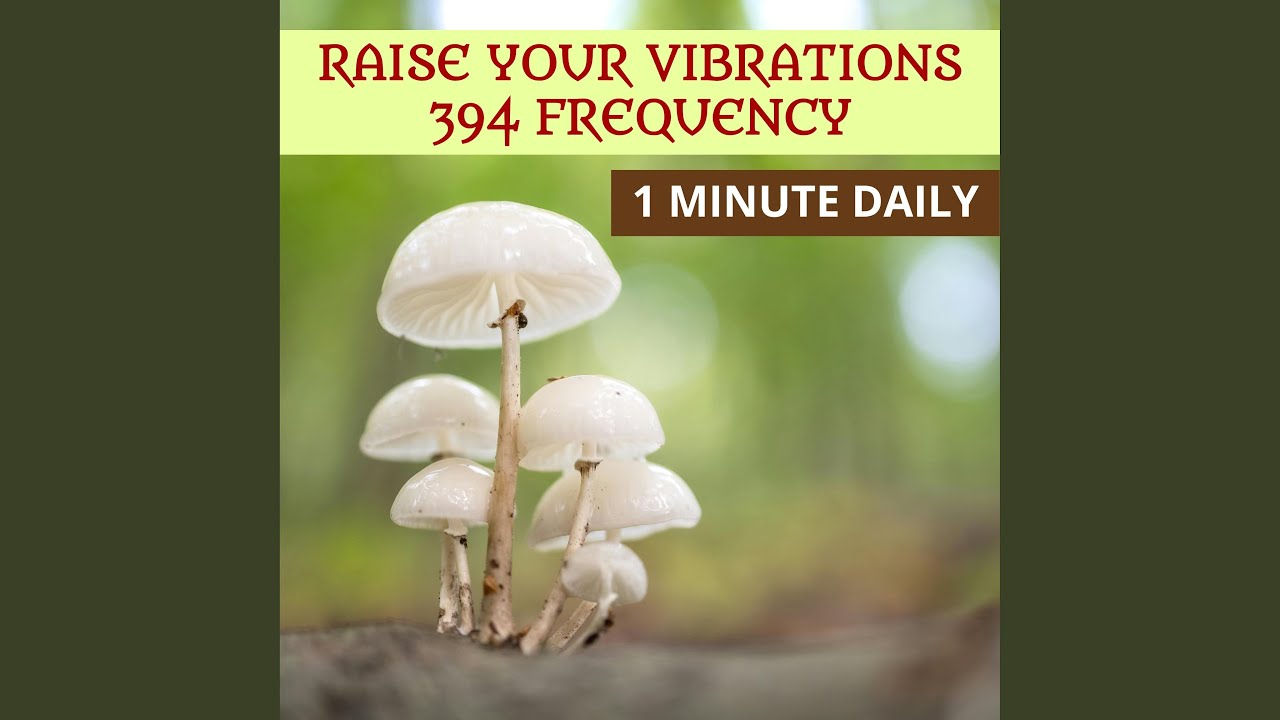 Raise Your Vibrations 394 Frequency