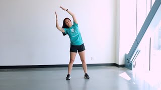Movement Break - Standing Movement & Stretch