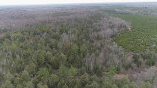 80 Acres Bailey's Trail, Luce County