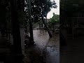 Banjir geesss.. 🥲