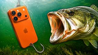 Can You Catch Fish With Best Buy Products?