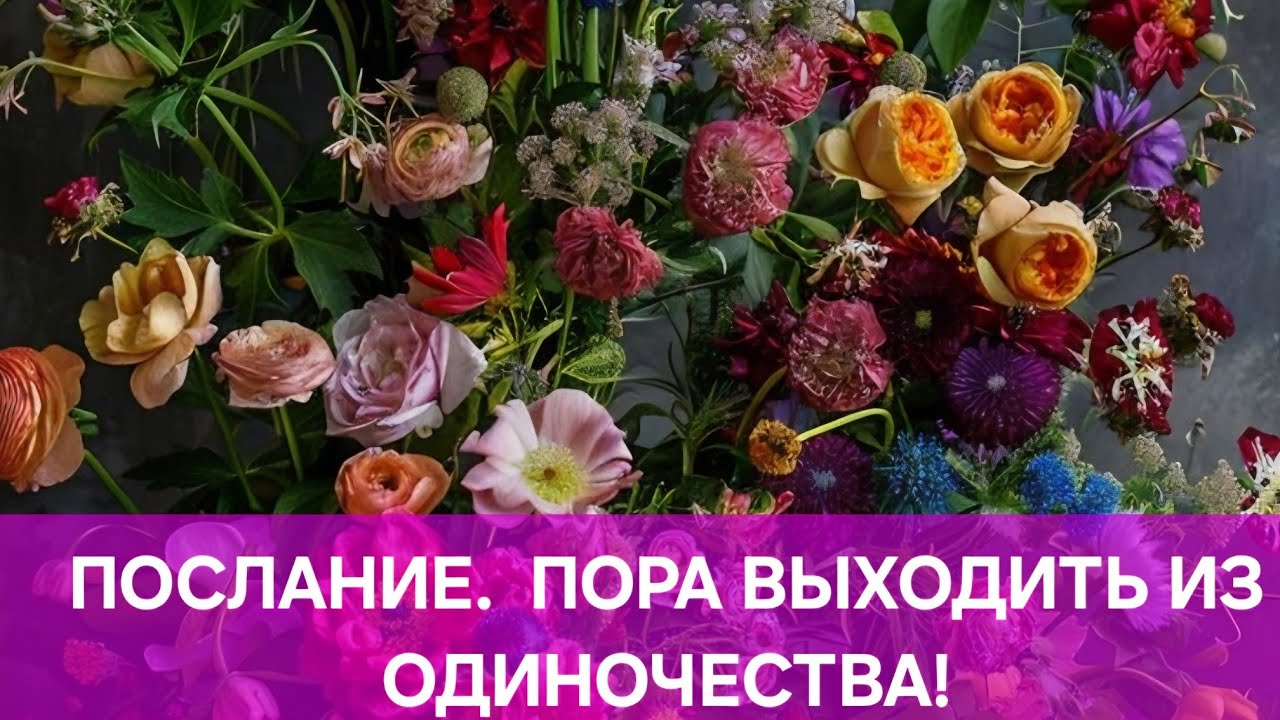 ПОСЛАНИЕ.  ПОРА ВЫХОДИТЬ ИЗ ОДИНОЧЕСТВА!