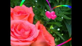 PHILIPPE MONTEIRO Zouk ¤ Di Novo Caucha ¤.wmv