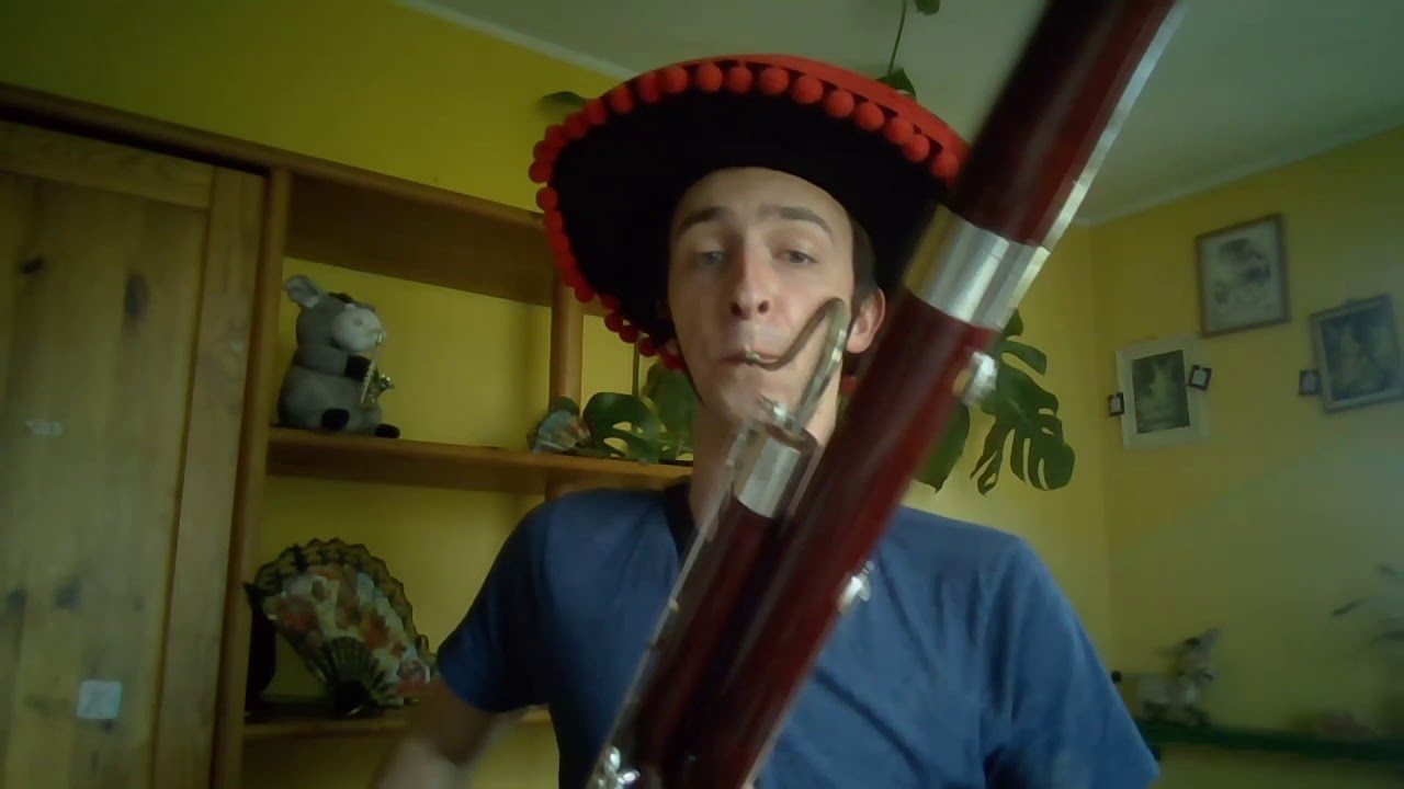 El gato montés - virtual bassoon quintet