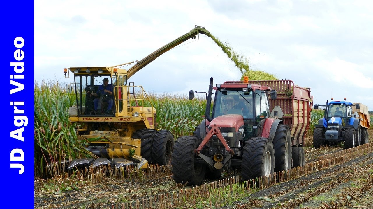 Mais 2021 | New Holland 1900 + M100 + TM135 | Mais Silage | v/d Streek Nunspeet | Mais hakselen