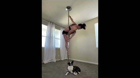 Twisted Stargazer Upright Spinning Pole Combo