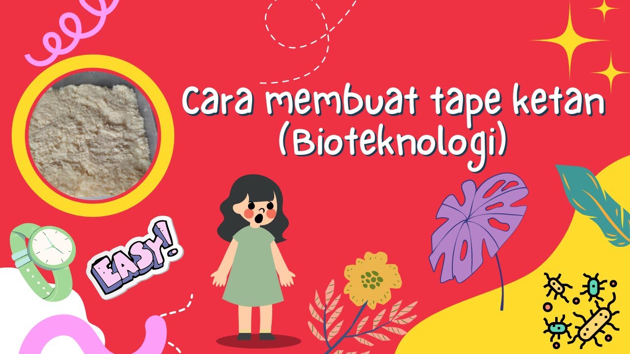 Tutorial membuat tape ketan (Bioteknologi) YouTube