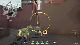 Breach and Skye Combo