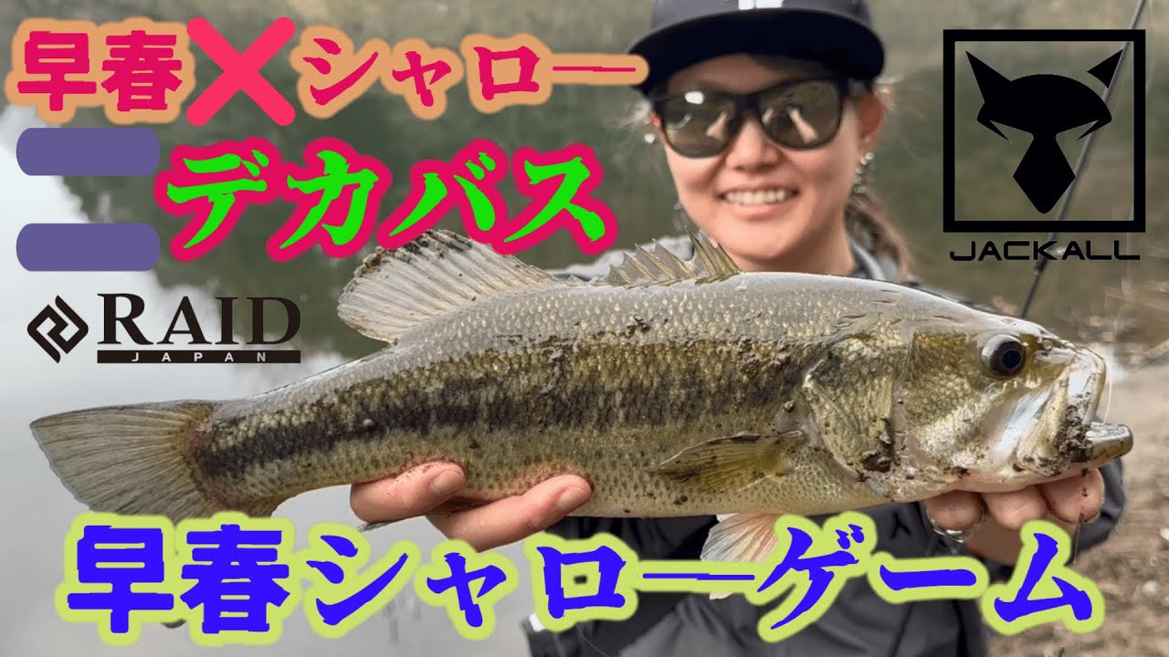 春を感じた魚を片っ端から狩る【早春シャロ―ゲーム】