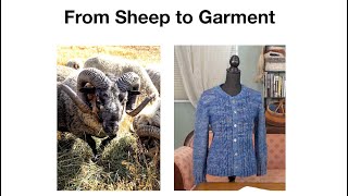Sheep to Garment Montage