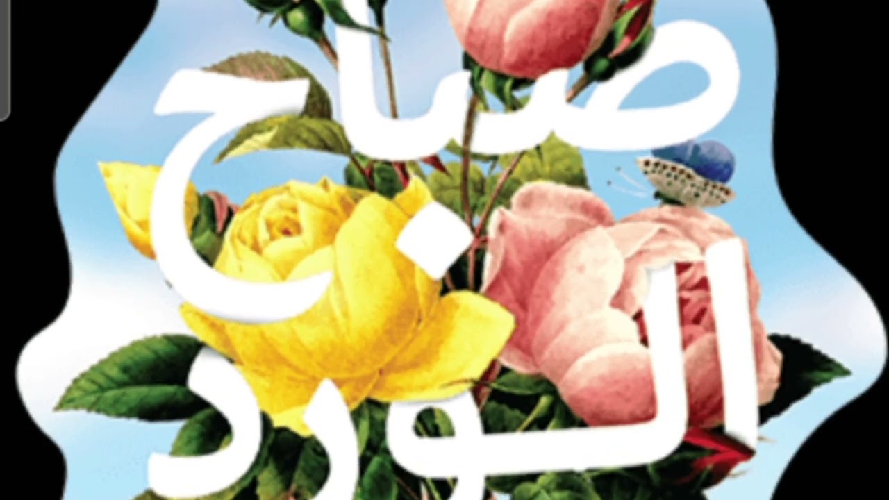 قصة عسكري سعودي تزوج أردنية | سباحين