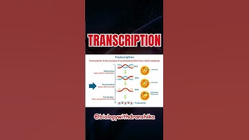 From genetic code to messenger mode – welcome to transcription! ✍️🧬Transcription #DNAtoRNA #mRNA