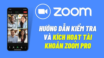 Kiểm Tra và Nâng Cấp Tài Khoản Zoom Pro | Nâng Cấp Zoom Pro Giá Rẻ