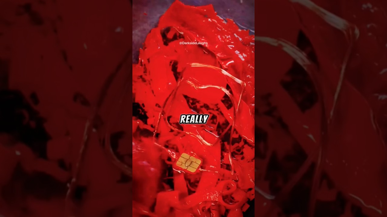 The Coffee Addiction 