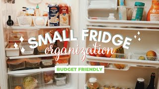 REFRIGERATOR ORGANIZATION IDEAS | DOLLAR TREE |  SMALL FRIDGE ORGANIZATION 2022 | *budget friendly*