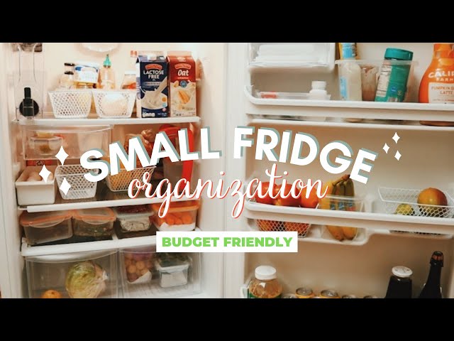 🍎 Effortless Fridge Magic: Budget-Friendly Organization Tips! 🍎