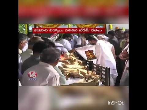Yeda poinado song ASVR TRIBUTE TO HARI KRISHNA GARU
