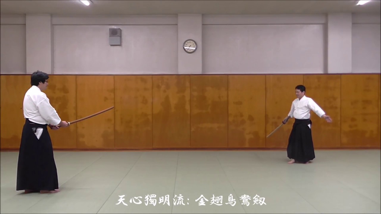 天心獨明流の形の再現 金翅鳥鴦剱 の試し撮り Youtube