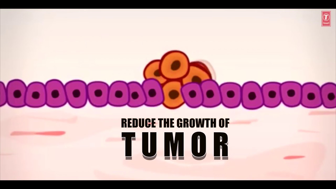 Promo - FIGHT CANCER Program | Releasing on 29th September