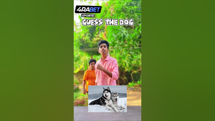 Guess the Dog 🐶🐕 challenge 🤣 ഈ നായയുടെ വാൽ വളഞ്ഞു തന്നെ 🤣🤣🐕#comedy #challenge #brixxmediain