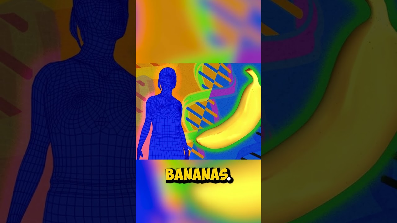 What inside human DNA? | Strange Facts Part 45 