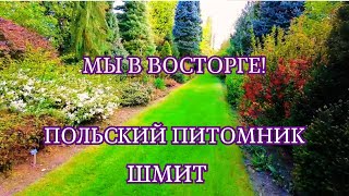 видео: 🌳 Рай для садоводов! Питомник Шмит в Польше — просто сказка! Ogrodniczy raj! Szkółka Szmit zachwyca! картинка: 🌳 Рай для садоводов! Питомник Шмит в Польше — просто сказка! Ogrodniczy raj! Szkółka Szmit zachwyca!