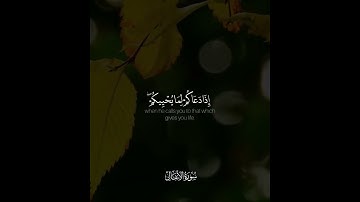 سورة الأنفال | القارئ فيصل الهاجري
