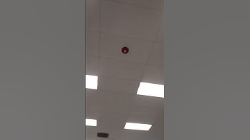 System Sensor L Series SCRL Remote Strobe