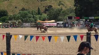 My first rodeo! NZ