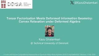 [CompQMB2026] Tensor Factorization Meets Deformed Information Geometry