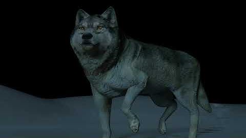 Lone Wolf Part 1: Sculpting in Blender 2.8