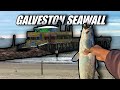 Fishing The Galveston Seawall For Speckled Trout! - Vlogmas 9