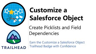 Create Picklists and Field Dependencies | Trailhead | Answered and Explained