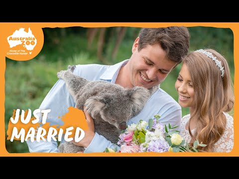 Video: Bindi irwin ha un figlio?