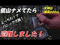 【完結編】低山ナメてたら遭難しました…湖南アルプス縦走、まさかの結末！？