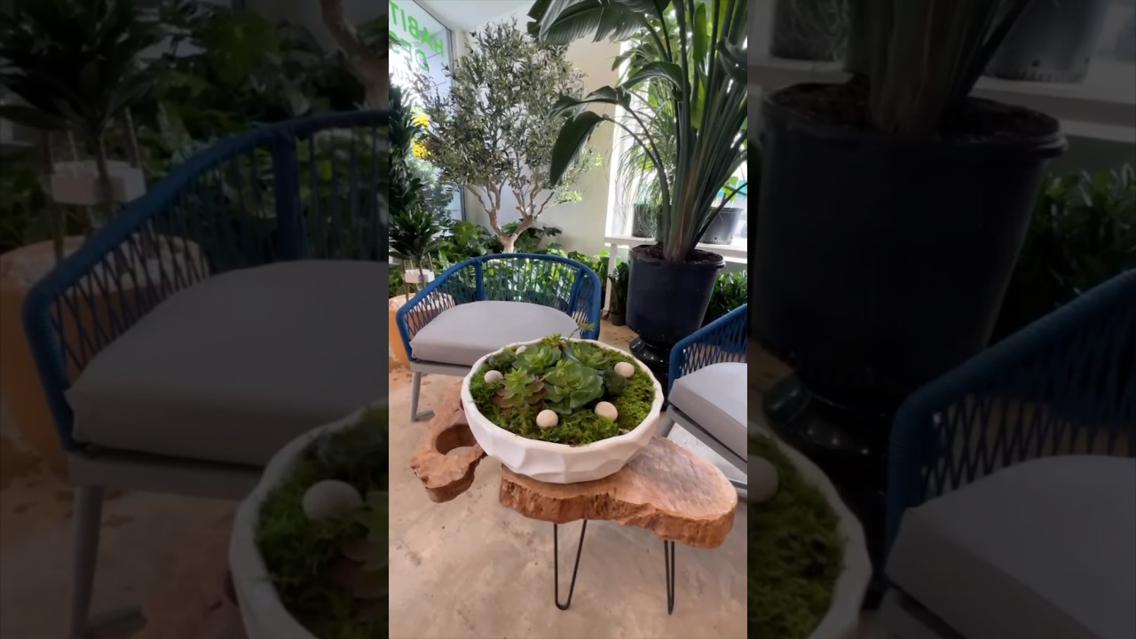 🪴Stylish patio furniture now available, Vist Our Showroom to find the perfect setup 🙌