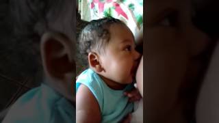 Peitinho E Leitinho Saboroso, Tá Muito Gostoso......