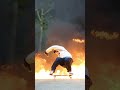 Nothing But Heat - Madars & Co