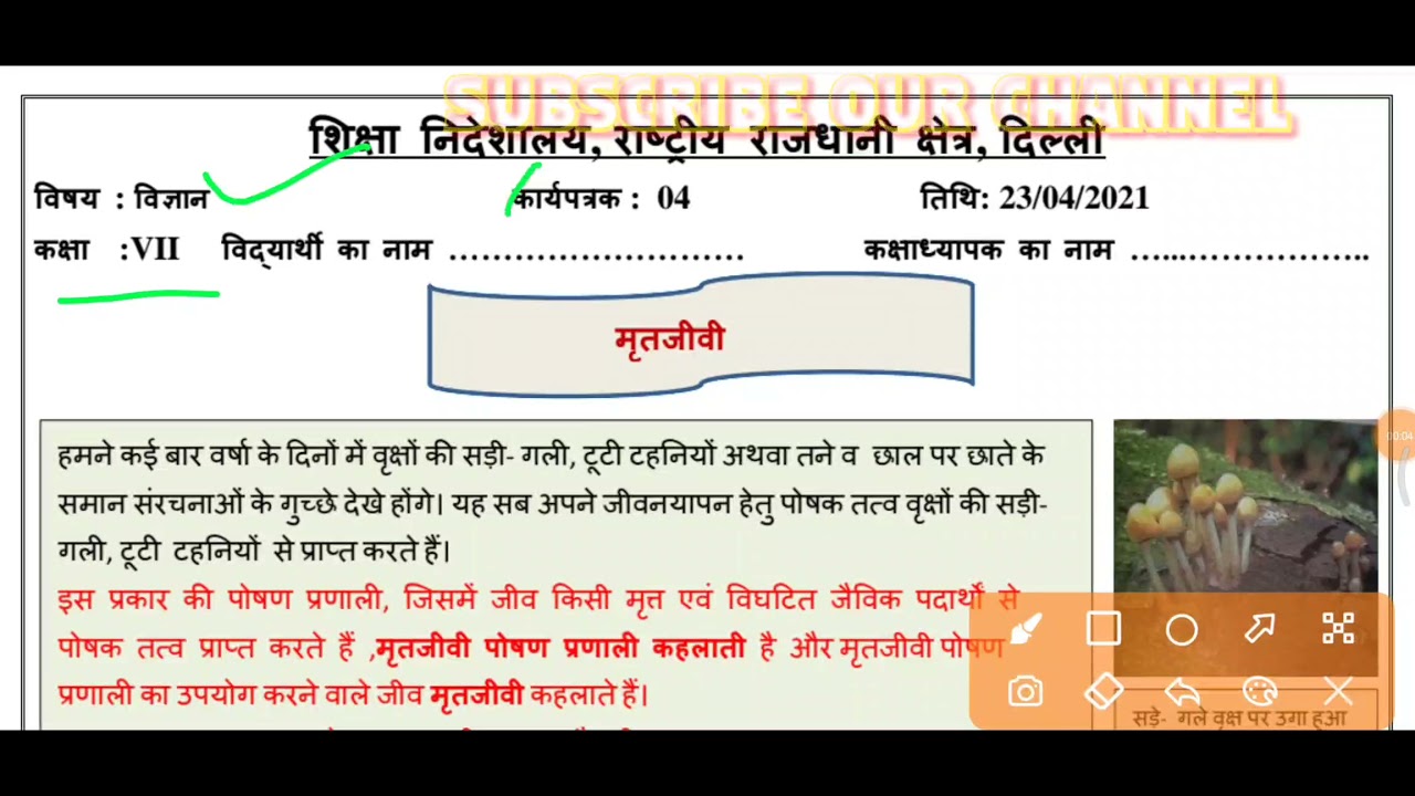 vigyan worksheet 4 class 7th vigyan worksheet 4 class 7 7th class