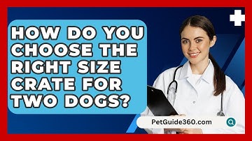 How Do You Choose The Right Size Crate For Two Dogs? - PetGuide360.com