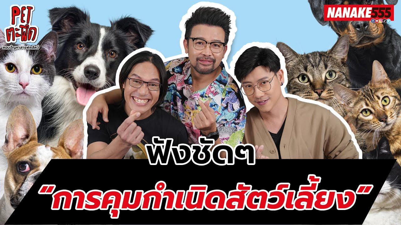 ฟังชัดๆ “การคุมกำเนิดสัตว์เลี้ยง” !!! | #Petตะพึด