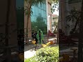 Btech Admissions 2026! Maharaja Agrasen Delhi! GGSIPU Affiliated! Top college! Great Location!